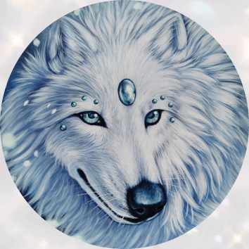 Lupo Bianco mia foto