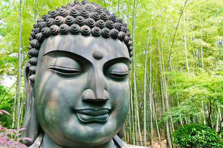 Buddha nella foresta
