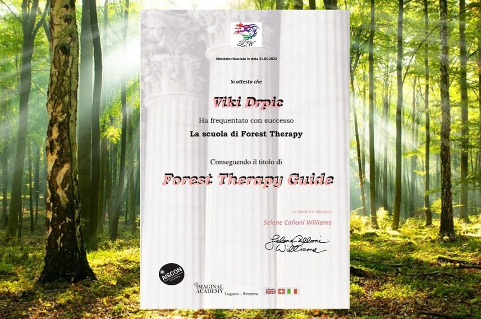 Viki Drpic - Diploma Forest Therapy Guide
